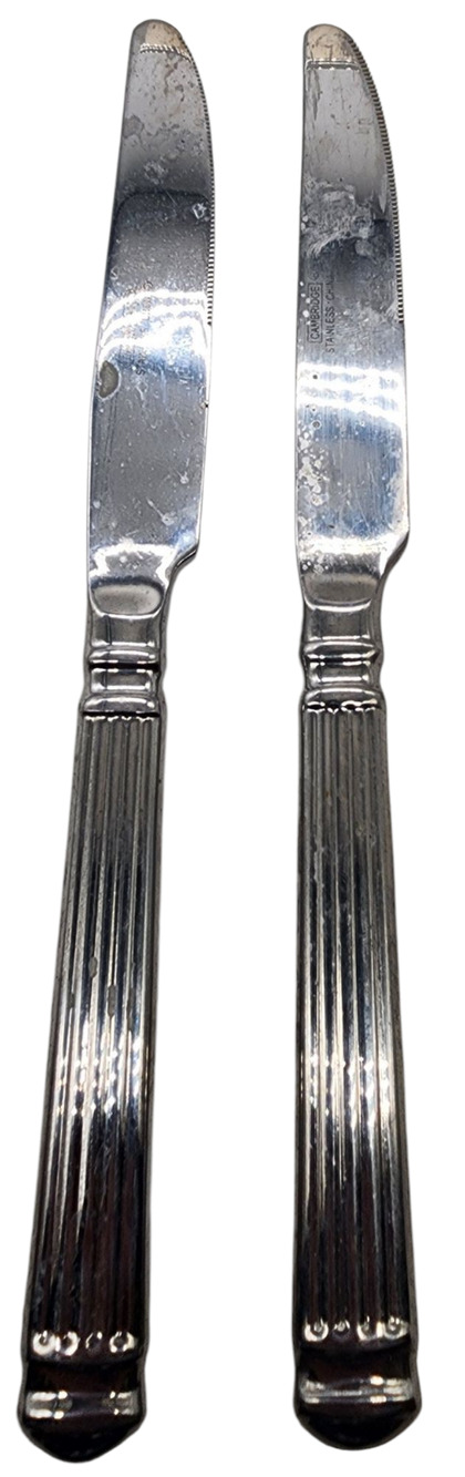 Pair (2) Cambridge Continental Stainless 18/10 Silverware Knives
